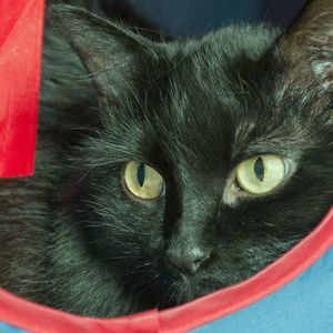 Meet your Posher, Kathy